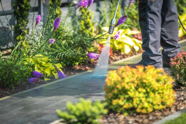 Best Driveway Pressure Washing  in Marseles, IL